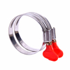 Germany Type Hose Clamps with plastic butterfly handle quick release hose clamp for pvc pipe fitting